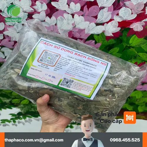 Công dụng hỗ trợ sức khỏe từ bạch đồng nữ