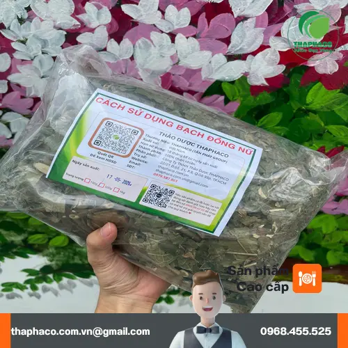 Sử dụng Bạch Đồng Nữ đúng cách
