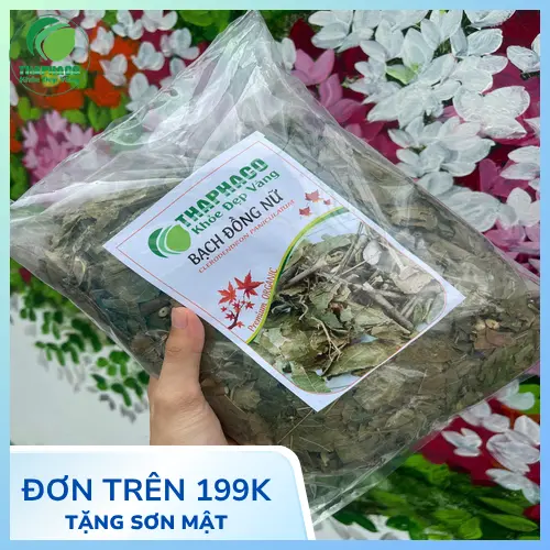 Quy trình sắc nước bạch đồng nữ khô đúng cách