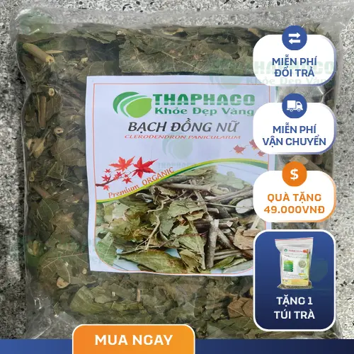 Phân biệt bạch đồng nữ với các loài cây tương tự