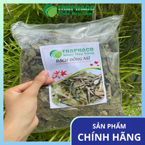 Lưu ý khi sử dụng Bạch Đồng Nữ