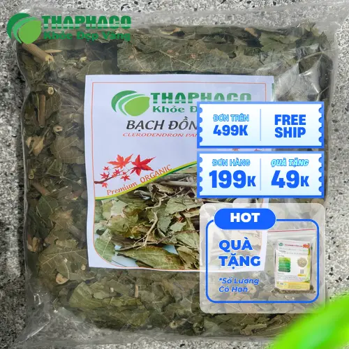Chuyên gia tư vấn về cách sử dụng thảo dược an toàn