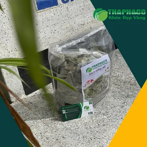 Lưu ý khi sử dụng bạch đồng nữ khô