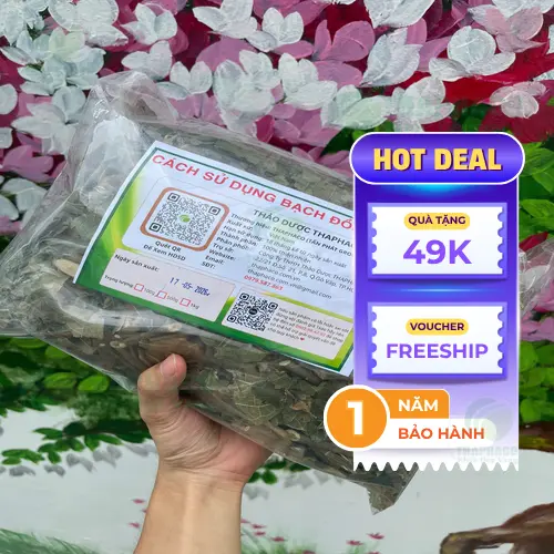 Địa chỉ mua bạch đồng nữ sấy khô uy tín tại TP.HCM
