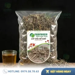 Địa Chỉ Bán Cây Xấu Hổ Khô Tại TP.HCM Chất Lượng Cao