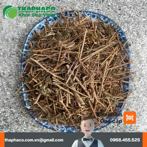 Lá và thân cây xấu hổ khô được bảo quản tốt