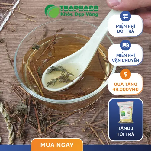 Đóng gói cây xấu hổ khô tại THAPHACO