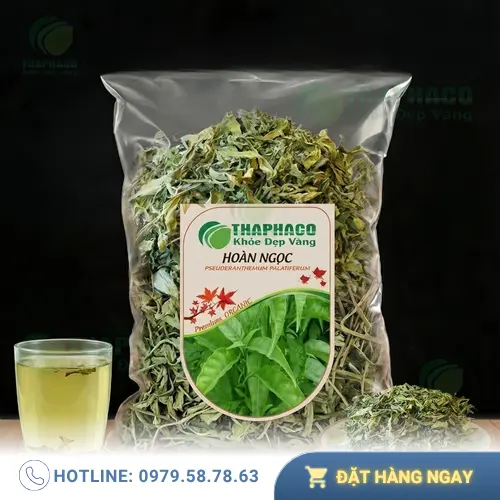 Hình ảnh cây Hoàn Ngọc tươi