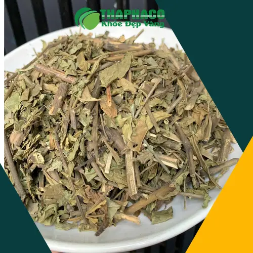 Kiểm tra Hoàn Ngọc khô định kỳ để tránh ẩm mốc