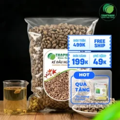 Mua Thương Nhĩ Tử Khô Giá Tốt, Chất Lượng Tại THAPHACO