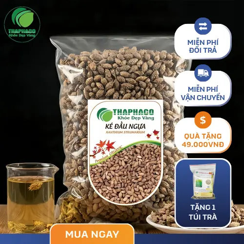 Ké đầu ngựa khô là gì