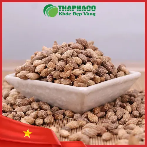 Công dụng hỗ trợ sức khỏe của Thương nhĩ tử