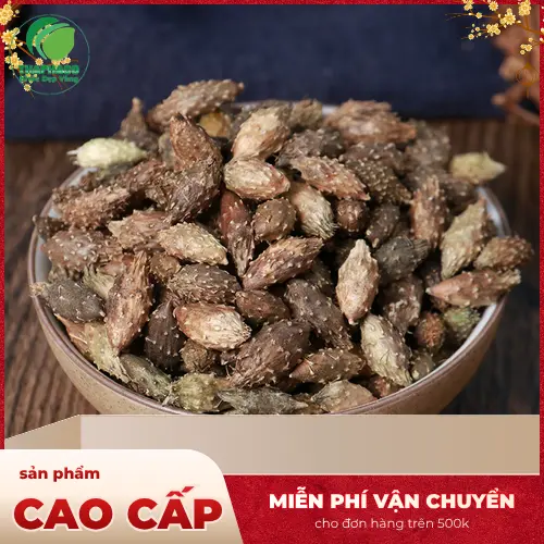 Thương nhĩ tử khô chất lượng tại THAPHACO