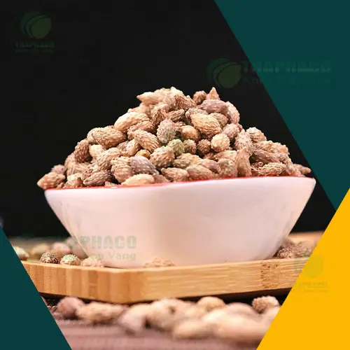 Lý do chọn mua Thương nhĩ tử khô tại THAPHACO