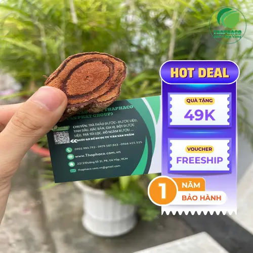 Kê Huyết Đằng chất lượng tại THAPHACO