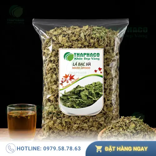 Hình ảnh lá bạc hà tươi
