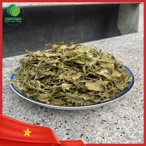 Phân biệt lá bạc hà khô và tinh dầu