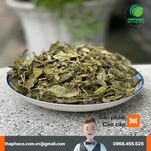 Cách sử dụng bạc hà khô hiệu quả
