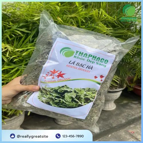 Phụ huynh tham khảo ý kiến bác sĩ
