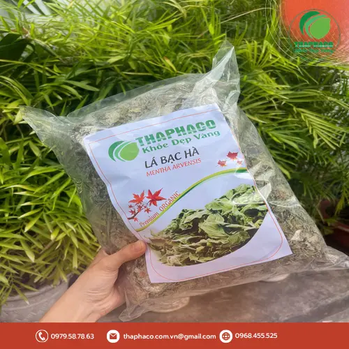 Quy trình sản xuất bạc hà khô chất lượng tại THAPHACO