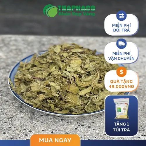Địa chỉ mua bạc hà khô THAPHACO tại TP.HCM