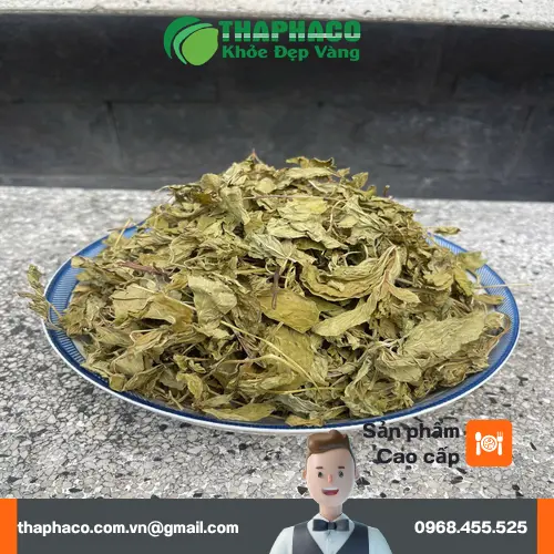 Lưu ý khi dùng lá bạc hà khô