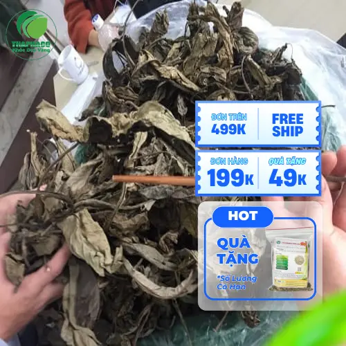Chuẩn bị Lá Khôi Tía sấy khô và dụng cụ pha trà