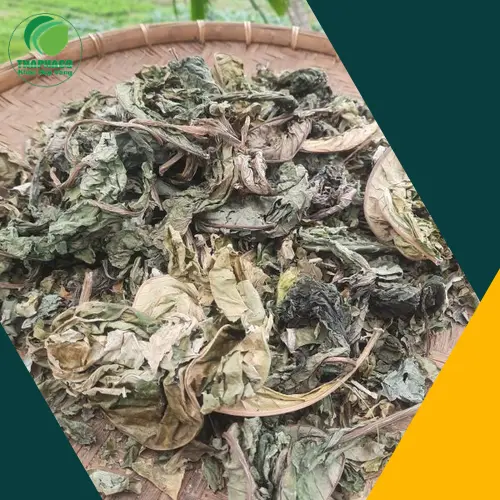 Mua Lá Khôi Tía khô chất lượng tại THAPHACO