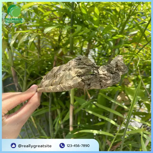 Lá Khôi Tía khô được đóng gói cẩn thận