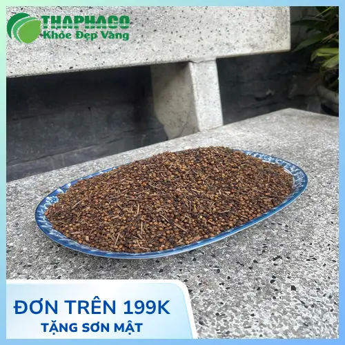 Phụ nữ mang thai cần cân nhắc kỹ khi sử dụng nụ vối