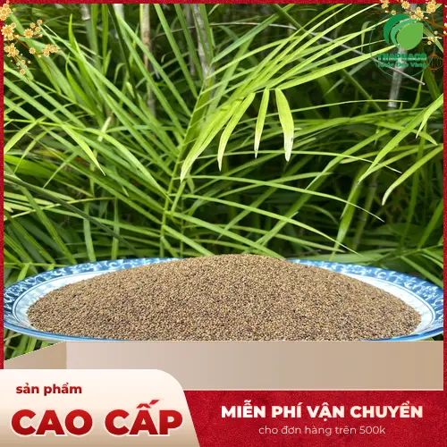 Sai lầm khi dùng Thỏ Ty Tử là tự ý thay thế thuốc điều trị