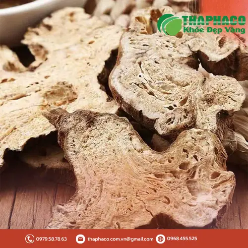Đảm bảo Bạch Truật có nguồn gốc rõ ràng và chất lượng cao