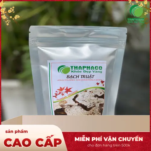 Phụ nữ mang thai cần thận trọng tìm hiểu về Bạch Truật