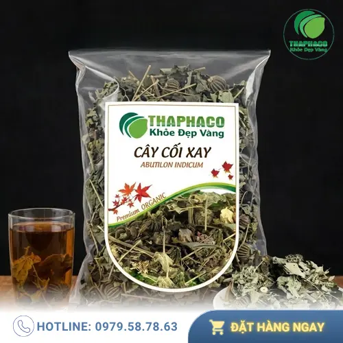 Hình ảnh cây cối xay tươi và quả non