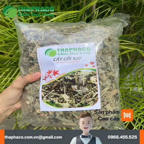 Lợi ích hỗ trợ sức khỏe của Cây Cối Xay