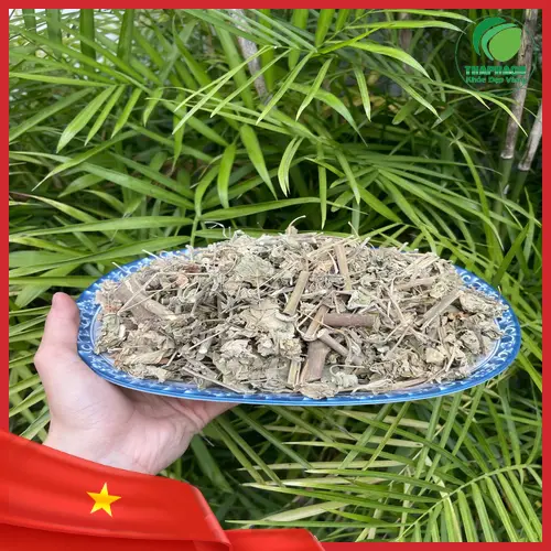 Cách dùng Cây Cối Xay đúng cách