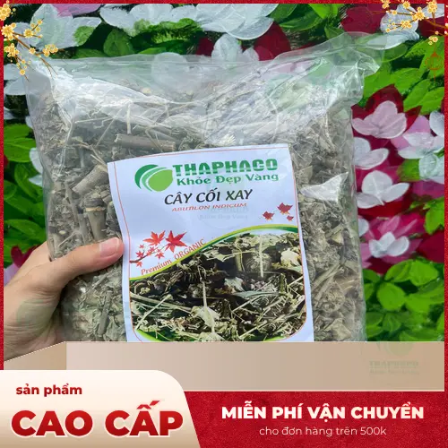 Địa chỉ mua Cây Cối Xay uy tín