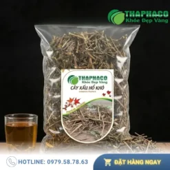 Địa Chỉ Bán Cây Xấu Hổ Uy Tín Tại TP.HCM