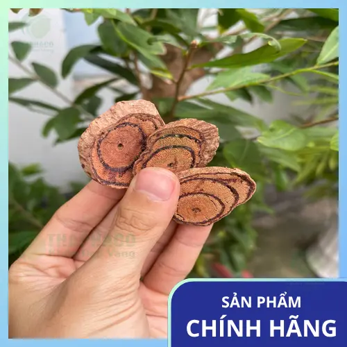 Chọn mua Kê Huyết Đằng từ nhà cung cấp uy tín như THAPHACO