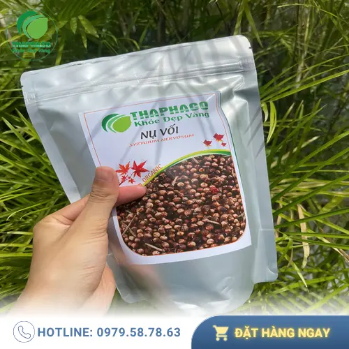 Pha trà Nụ Vối đúng cách để đạt hiệu quả tối ưu