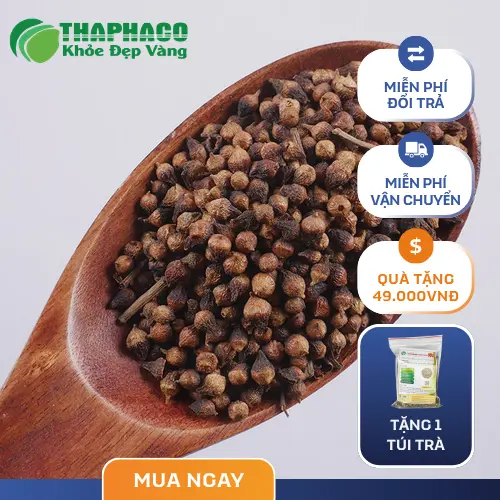 Nụ Vối chất lượng tại THAPHACO