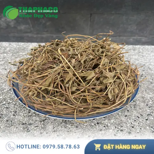 Tắm Sài Đất cho bé cần hết sức cẩn trọng