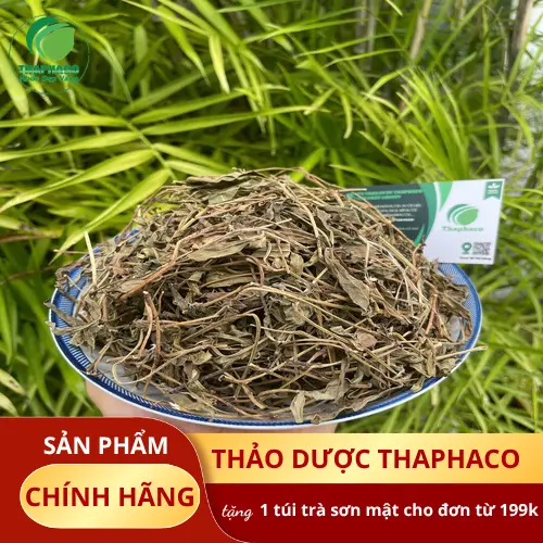 Lưu ý khi dùng sài đất khô cho trẻ nhỏ