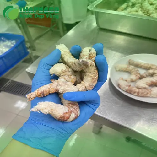 Quy trình công nghệ sấy thăng hoa tôm hiện đại