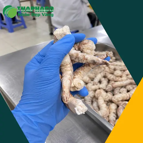 Đóng gói tôm sấy thăng hoa chất lượng cao