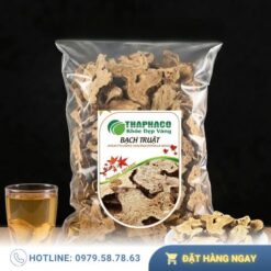 Mua Bạch Truật Khô Giá Tốt Tại TP.HCM