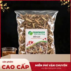 Cây Dền Gai Khô Chất Lượng Cao Hỗ Trợ Sức Khỏe Tự Nhiên