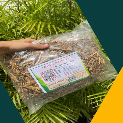 Đặc điểm cây dền gai sấy khô
