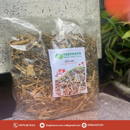 Cách dùng cây dền gai khô hằng ngày