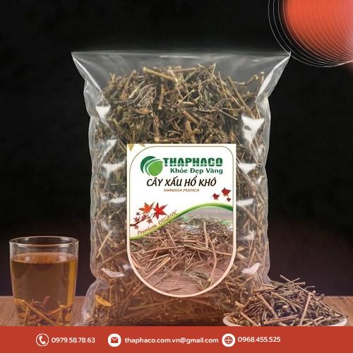 Toàn cảnh cây xấu hổ mọc tự nhiên trong tự nhiên